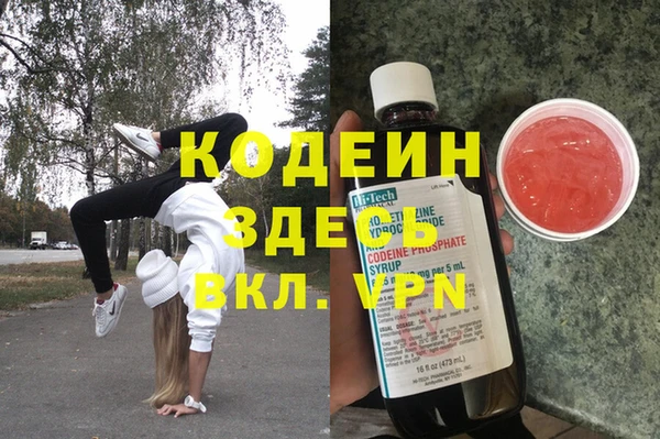 СК Зеленокумск