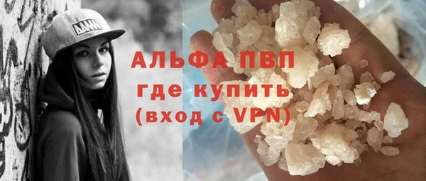 СК Зеленокумск