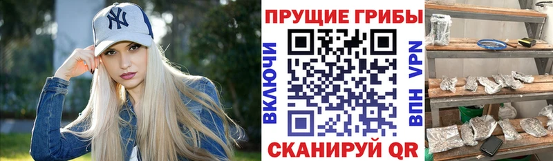 Галлюциногенные грибы GOLDEN TEACHER  Купить закладки  Короча 